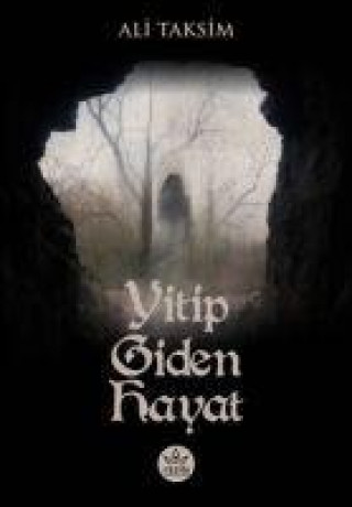 Kniha Yitip Giden Hayat 