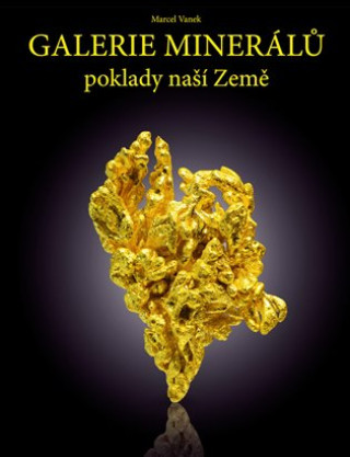 Könyv Galerie minerálů Marcel Vanek