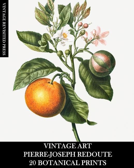 Knjiga Vintage Art Vintage Revisited Press