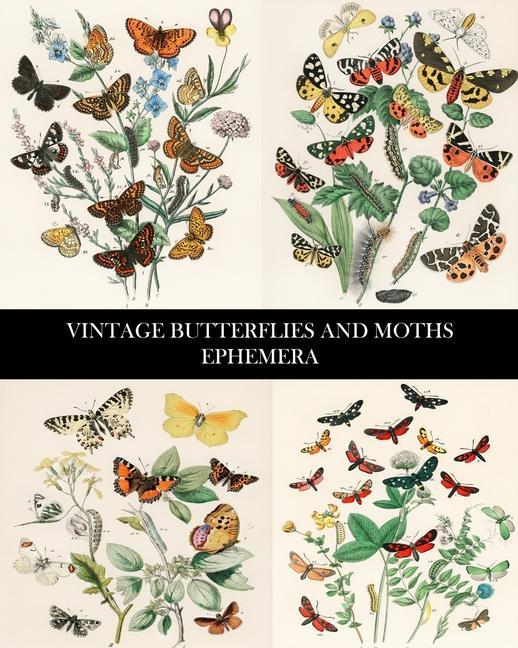 Книга Vintage Butterflies and Moths Ephemera 