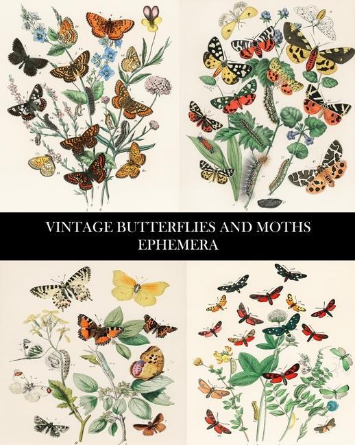 Książka Vintage Butterflies and Moths Ephemera 