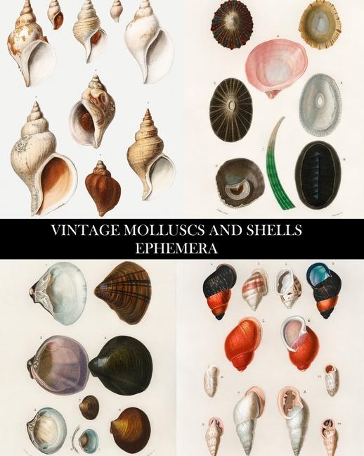 Книга Vintage Molluscs and Shell Ephemera 
