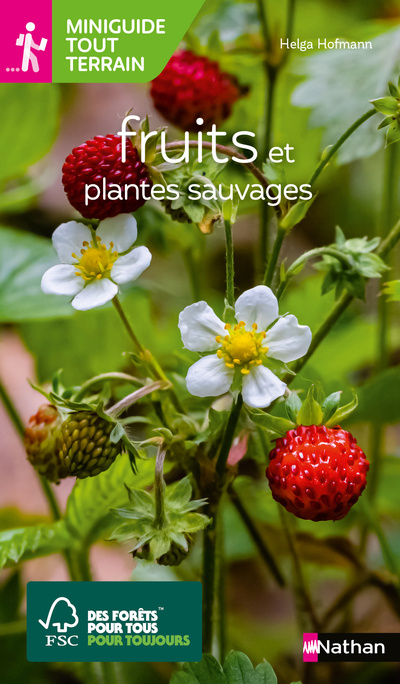 Kniha Miniguides tout-terrain : Fruits et plantes sauvages Helga Hofmann