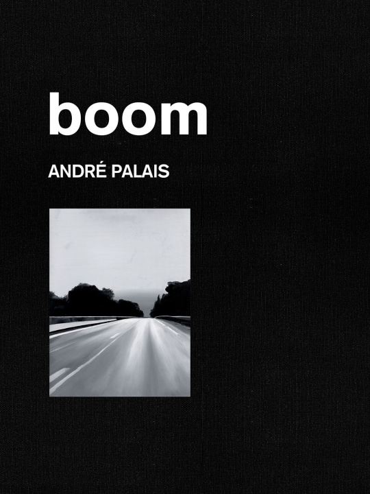 Libro Boom Palais