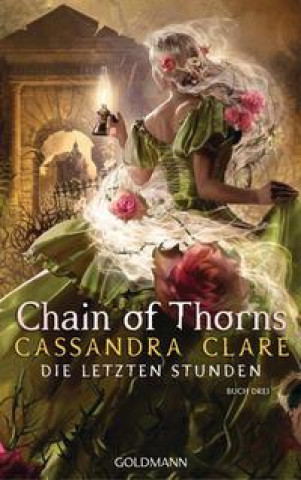 Kniha Chain of Thorns Franca Fritz