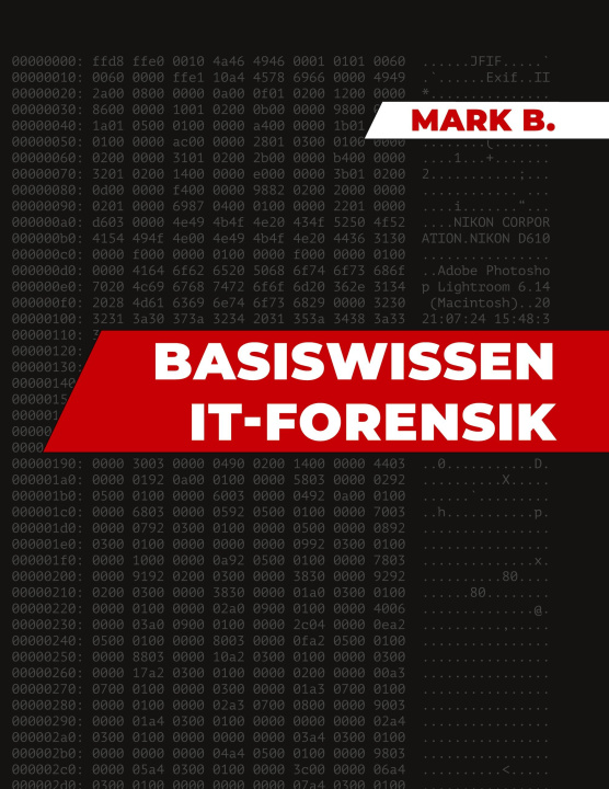 Kniha Basiswissen IT Forensik 