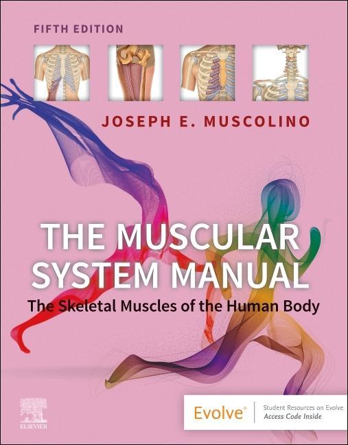 Kniha The Muscular System Manual Joseph E. Muscolino