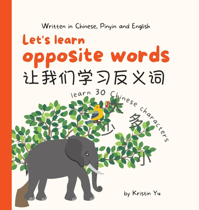 Kniha Let's Learn Opposite Words 