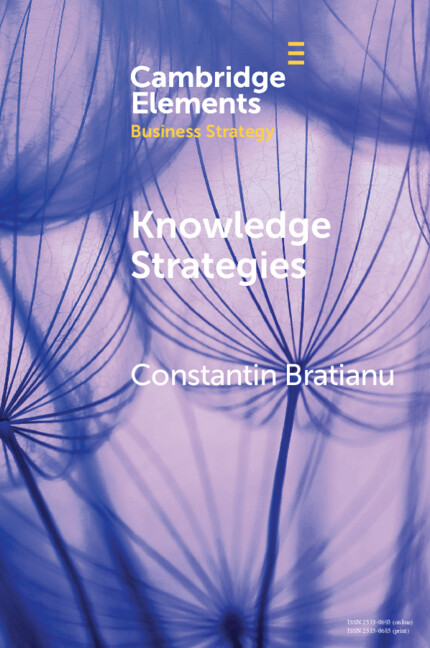 Kniha Knowledge Strategies Constantin Bratianu