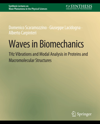 Βιβλίο Waves in Biomechanics Domenico Scaramozzino