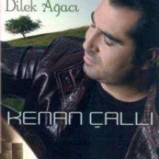 Audio Dilek Agaci CD 