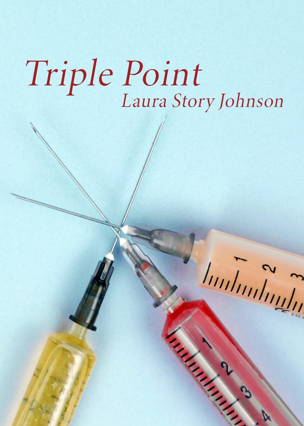 Boek Triple Point Laura Story Johnson