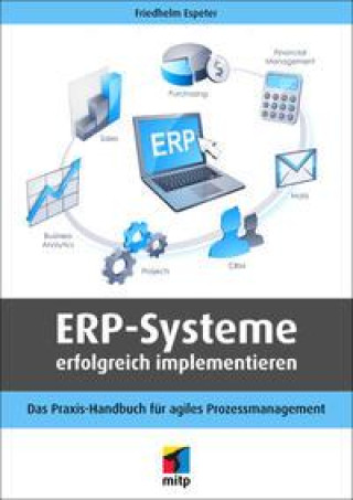 Kniha ERP-Systeme erfolgreich implementieren 
