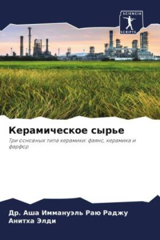 Book Keramicheskoe syr'e Anitha Jeldi