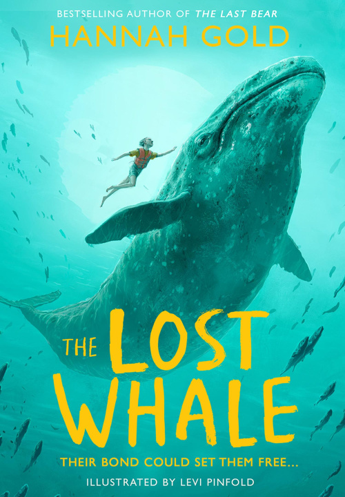 Book Lost Whale Levi Pinfold