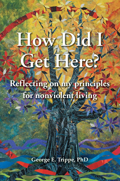 Knjiga How Did I Get Here? George E. Trippe PhD