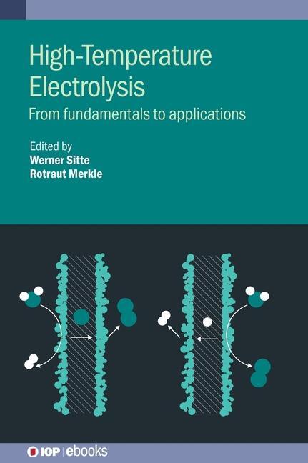 Könyv High-Temperature Electrolysis Werner Sitte