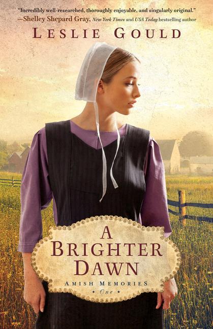 Knjiga Brighter Dawn Leslie Gould