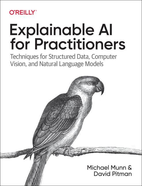 Könyv Explainable AI for Practitioners David Pitman