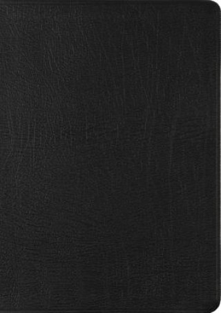 Book ESV New Testament with Psalms and Proverbs (Black) 