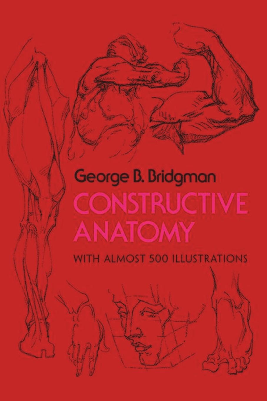 Kniha Constructive Anatomy 