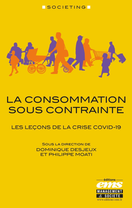 Knjiga La consommation sous contrainte DESJEUX DOMINIQUE
