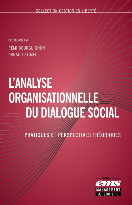 Könyv L'analyse organisationnelle du dialogue social BOURGUIGNON REMI