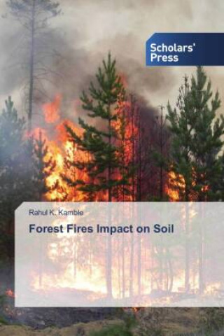 Könyv Forest Fires Impact on Soil 