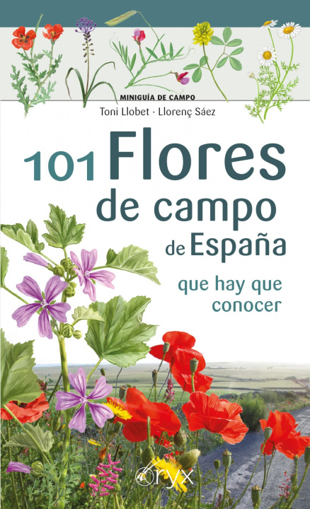Kniha 101 Flores de campo de España TONI LLOBET
