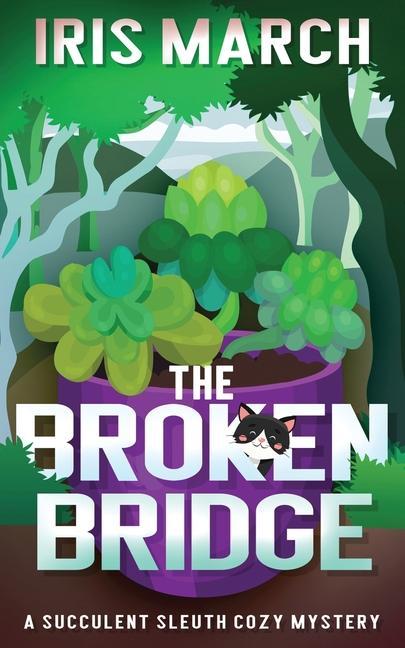 Book Broken Bridge 