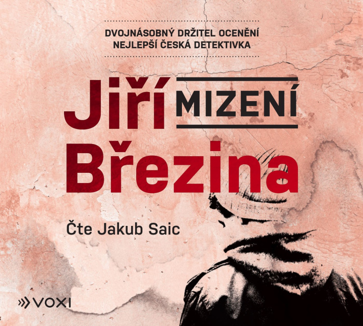 Kniha Mizení Jiří Březina