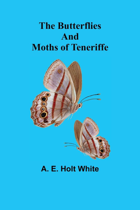 Kniha Butterflies and Moths of Teneriffe 