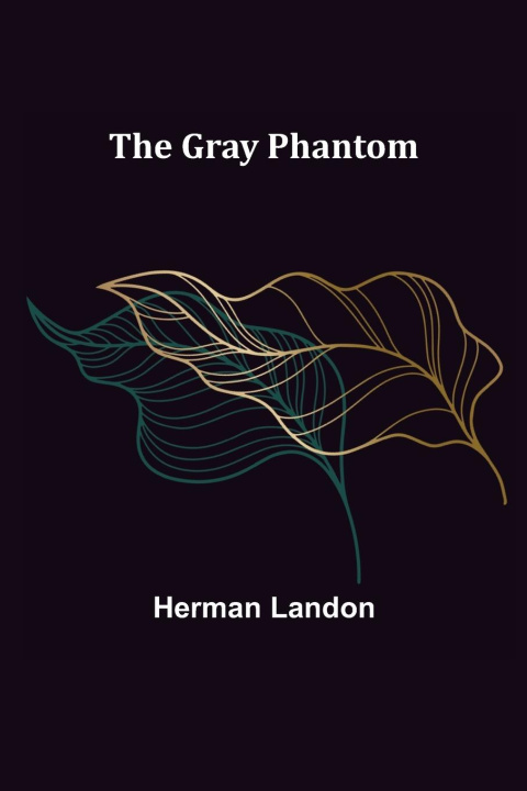 Knjiga Gray Phantom Herman Landon