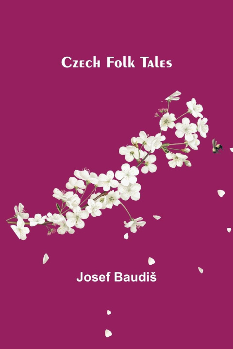 Kniha Czech Folk Tales 