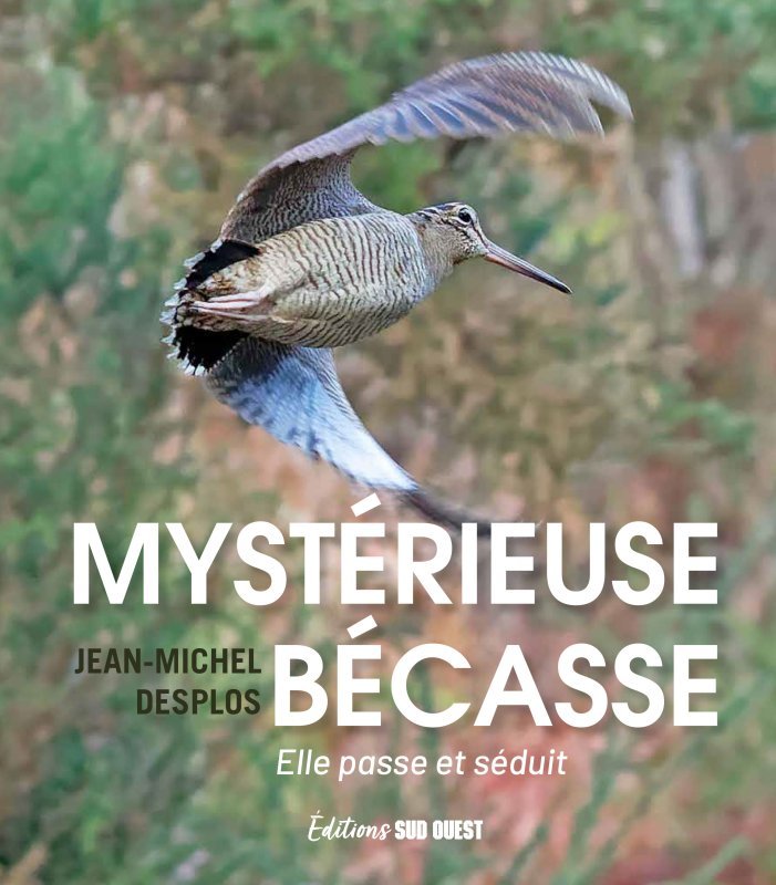 Kniha Mystérieuse bécasse 