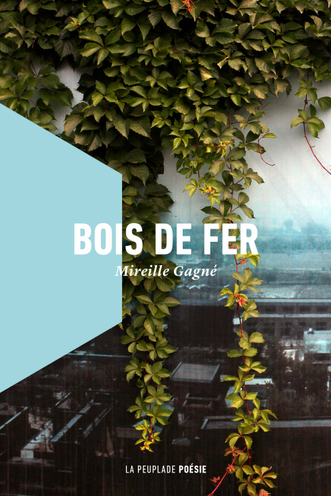 Книга Bois de fer Gagné
