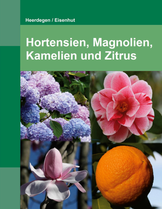 Könyv Hortensien, Kamelien, Magnolien und Zitrus 