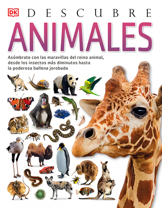 Kniha Animales, Descubre TOM JACKSON
