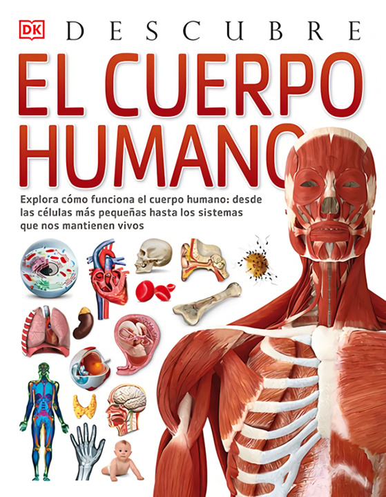 Könyv El cuerpo humano, Descubre RICHARD WALKER