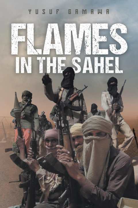 Carte Flames in the Sahel 