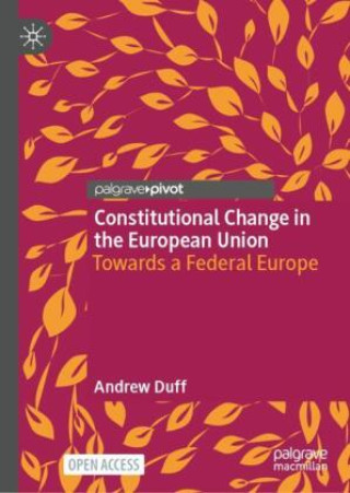 Kniha Constitutional Change in the European Union Andrew Duff
