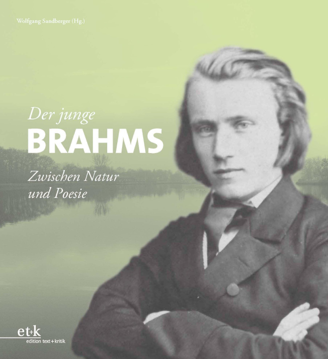 Knjiga Der junge Brahms Wolfgang Sandberger