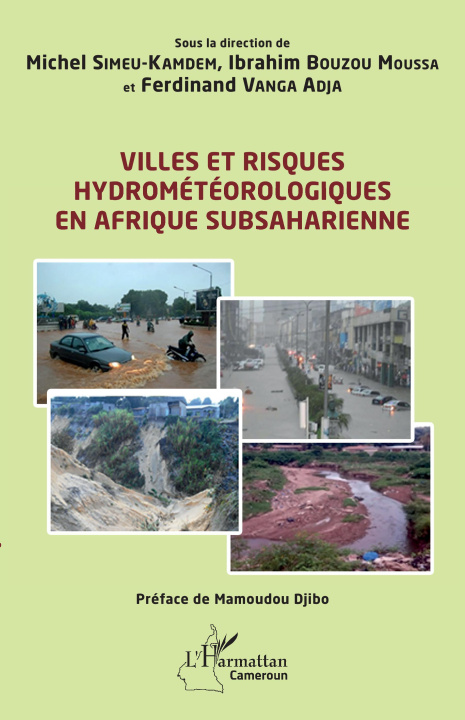 Knjiga Villes et risques hydrométéorologiques en Afrique subsaharienne Simeu-Kamdem