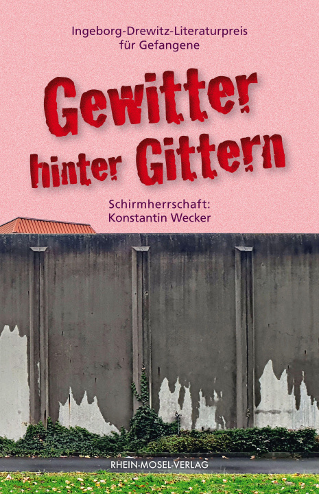 Kniha Gewitter hinter Gittern Nina X.