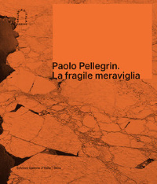 Книга Paolo Pellegrin. La fragile meraviglia. Ediz. italiana e inglese 