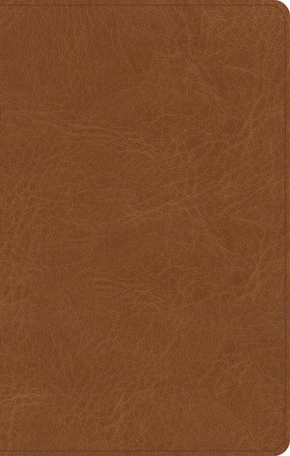 Livre CSB Single-Column Personal Size Bible, Saddle Genuine Leather 