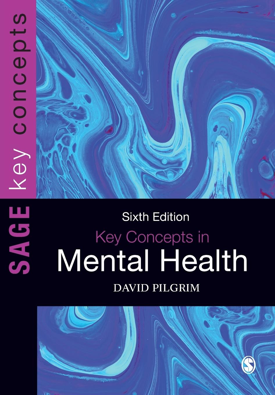 Knjiga Key Concepts in Mental Health David Pilgrim