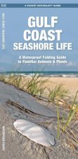 Gulf Coast Seashore Life: A Waterproof Folding Guide to Familiar Animals & Plants