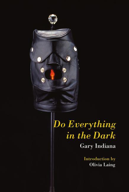 Könyv Do Everything in the Dark 