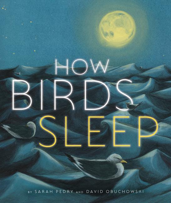 Buch How Birds Sleep Sarah Pedry